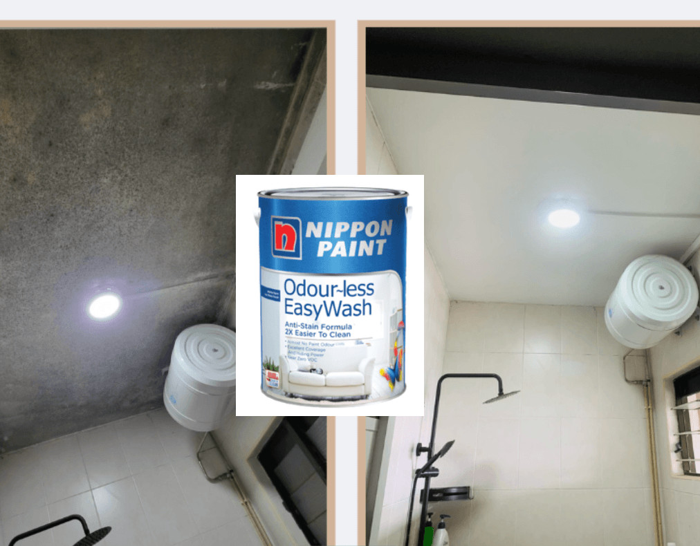 Anti Mould Paint